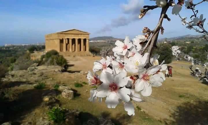 Apartamento Anemone Della Scala Dei Turchi Realmonte Exterior foto